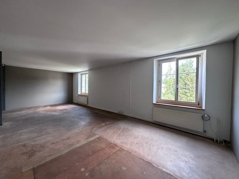 Gewerbe- und Retailfläche im historischen Altbau – Aathalstrasse 84, Uster (7)