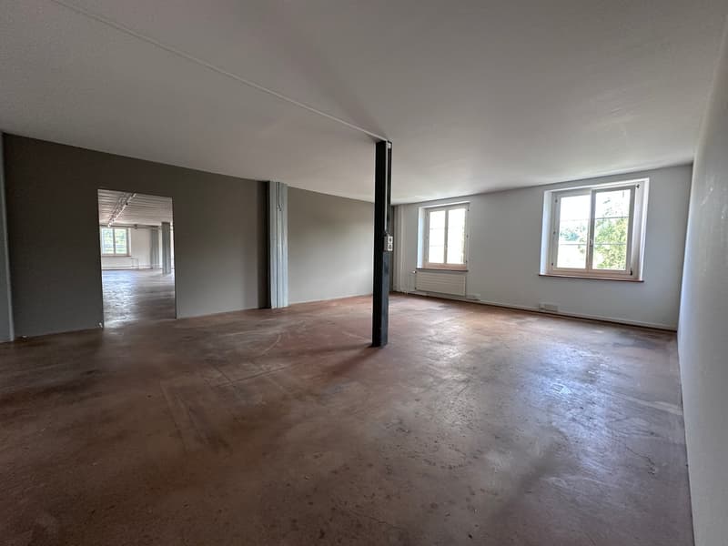 Gewerbe- und Retailfläche im historischen Altbau – Aathalstrasse 84, Uster (10)