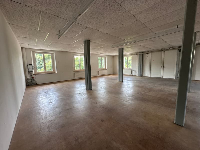 Gewerbe- und Retailfläche im historischen Altbau – Aathalstrasse 84, Uster (14)