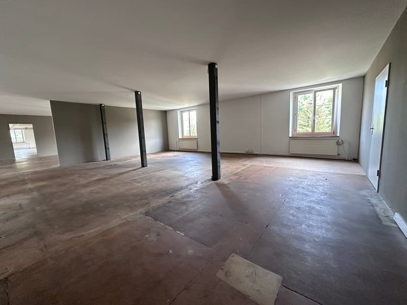 Gewerbe- und Retailfläche im historischen Altbau – Aathalstrasse 84, Uster (6)