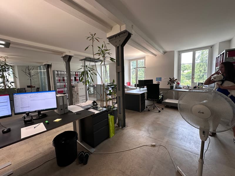 Gewerbe- und Retailfläche im historischen Altbau – Aathalstrasse 84, Uster (6)