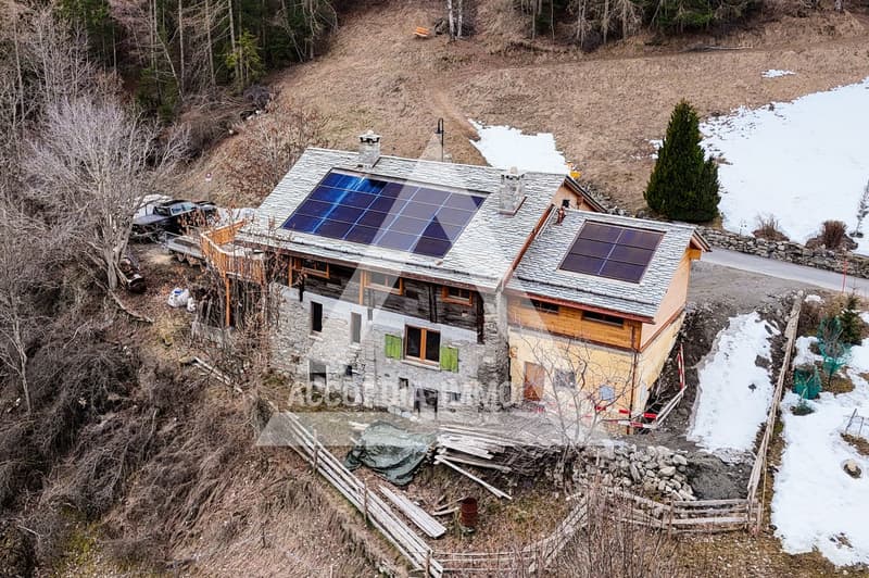 Chalet de caractère rénové avec deux appartements – fort potentiel (18)