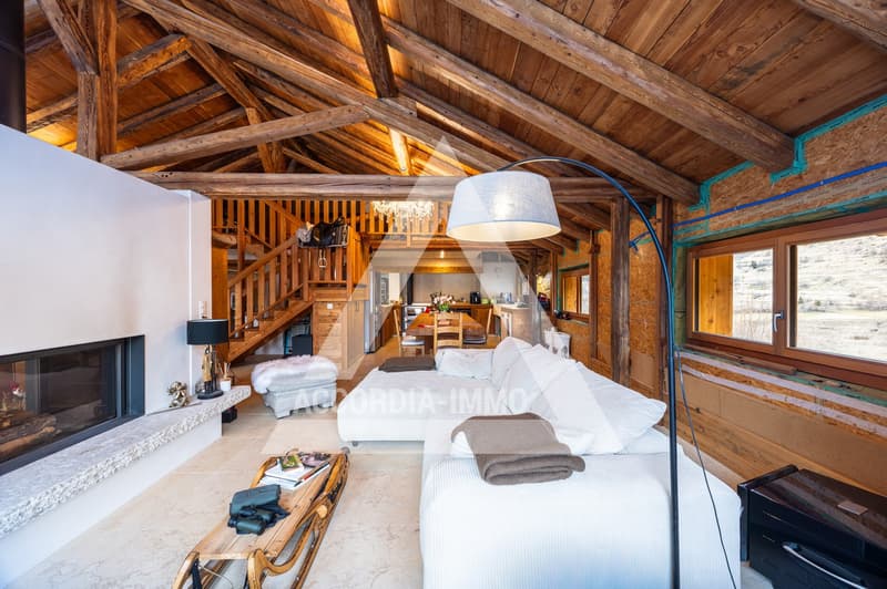 Chalet de caractère rénové avec deux appartements – fort potentiel (9)