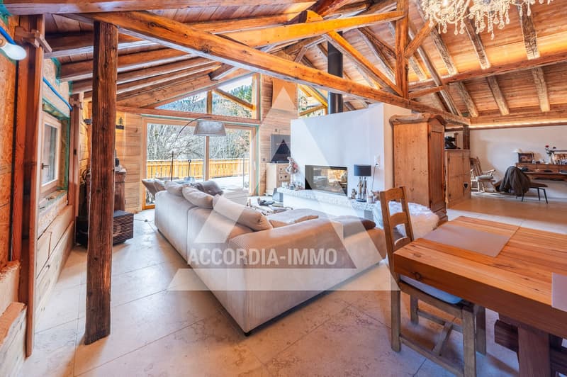 Chalet de caractère rénové avec deux appartements – fort potentiel (3)