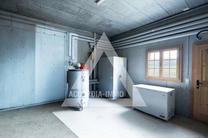 Chalet de caractère rénové avec deux appartements – fort potentiel (17)