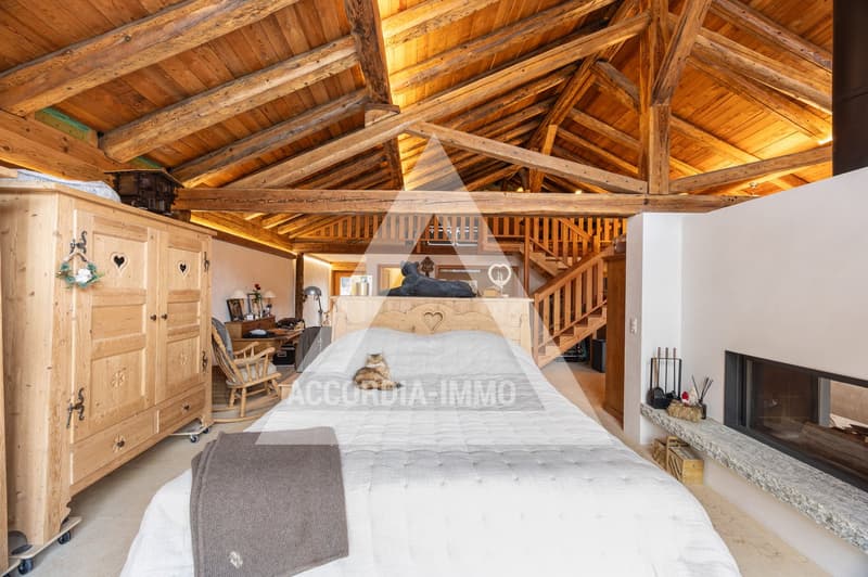 Chalet de caractère rénové avec deux appartements – fort potentiel (13)