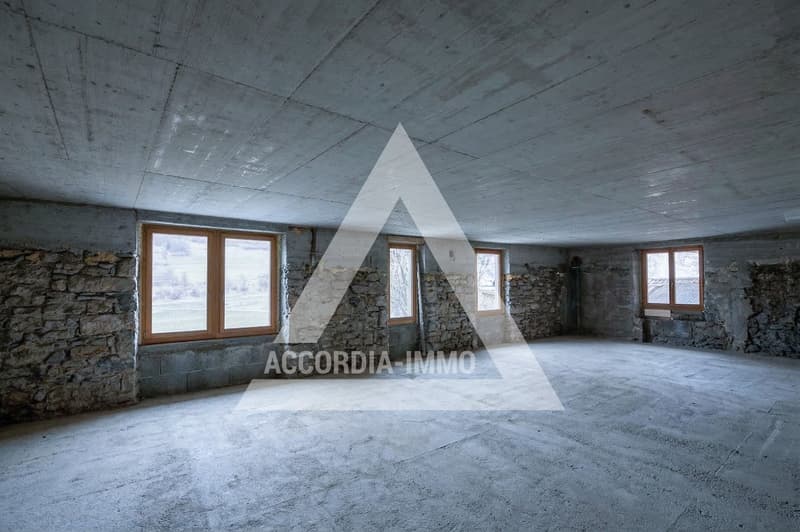 Chalet de caractère rénové avec deux appartements – fort potentiel (11)