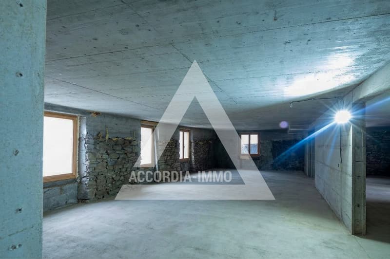 Chalet de caractère rénové avec deux appartements – fort potentiel (5)