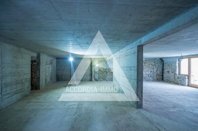 Chalet de caractère rénové avec deux appartements – fort potentiel (7)