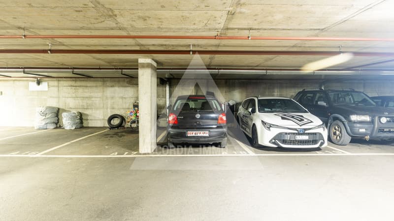 Magnifique Appartement 4.5 Pièces Rénové (97 m²) à Monthey (20)