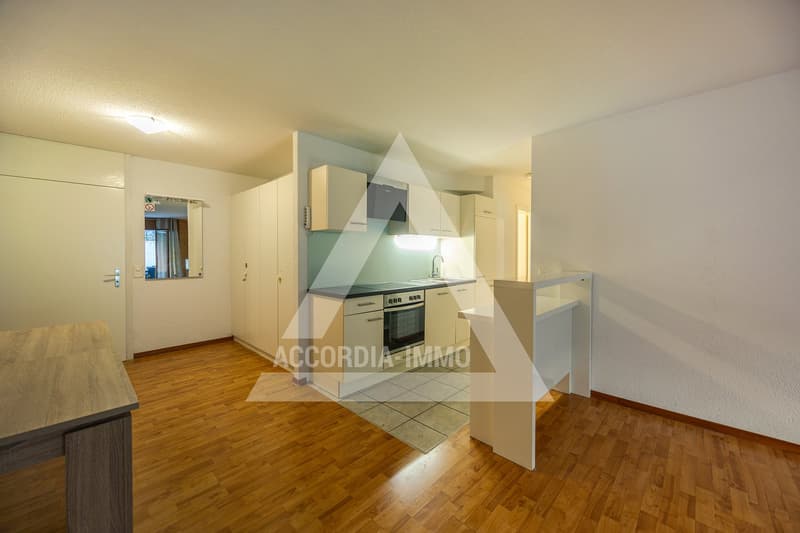 Charmant appartement de 2,5 pièces avec terrasse à Torgon (3)