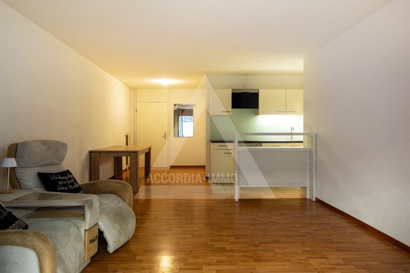 Charmant appartement de 2,5 pièces avec terrasse à Torgon (4)