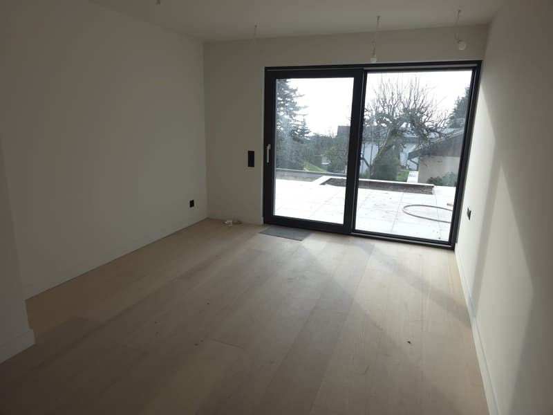 Magnifique villa de 7.5 pièces à St-Légier-La Chiésaz (12)