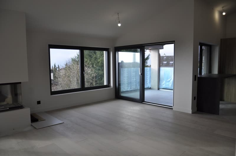 Magnifique villa de 7.5 pièces à St-Légier-La Chiésaz (4)