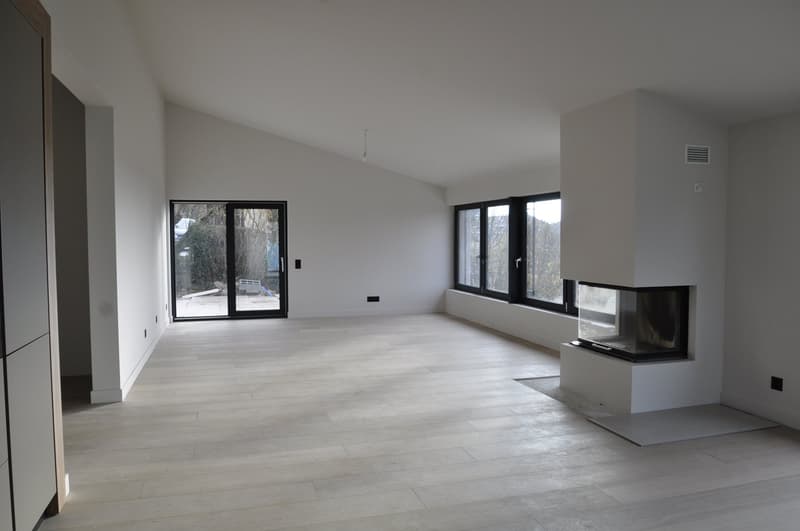 Magnifique villa de 7.5 pièces à St-Légier-La Chiésaz (2)