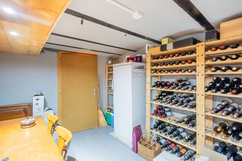 Charmante maison de 2 appartements à Albeuve (17)