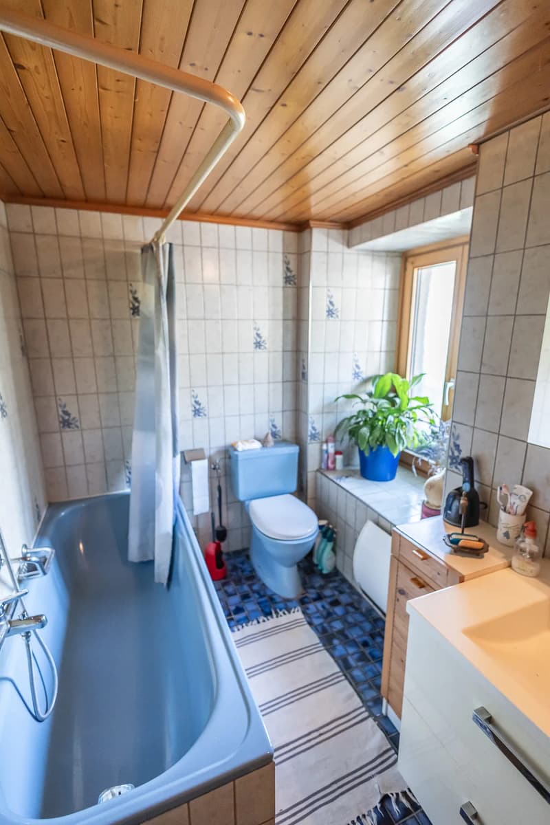 Charmante maison de 2 appartements à Albeuve (11)