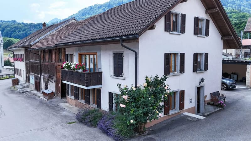 Charmante maison de 2 appartements à Albeuve (1)