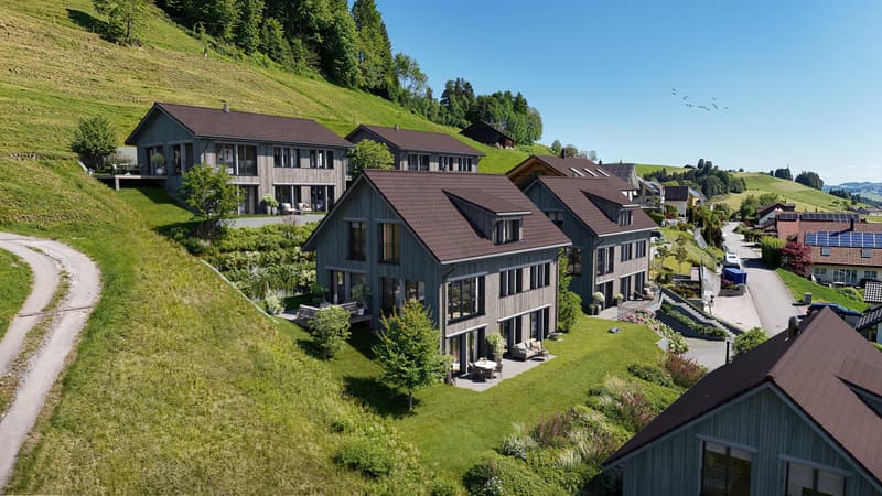 Ihr Traumhaus mit atemberaubender Säntissicht (3)