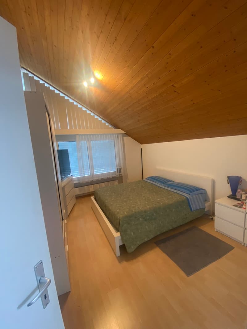 Appartement spacieux 3.5 pièces en centre-ville (6)