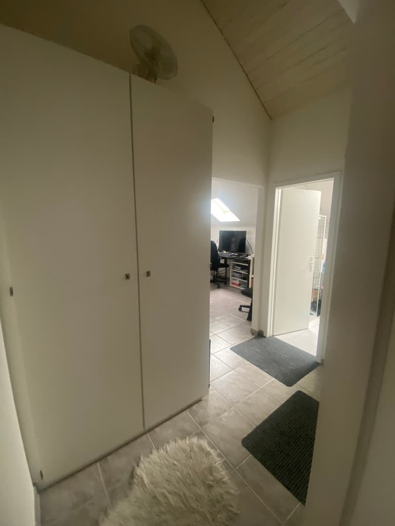 Appartement spacieux 3.5 pièces en centre-ville (8)