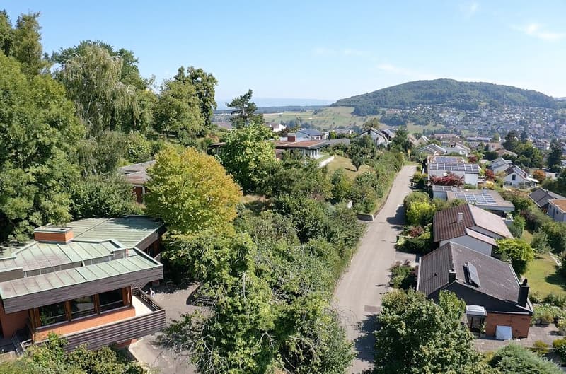 Maison d'architecte imposante avec grand environnement (3)