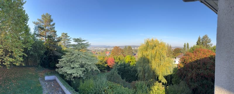 Charmante Landhaus-Villa mit Weitblick in bester Lage von Arlesheim (2)