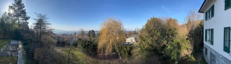 Charmante Landhaus-Villa mit Blick über Arlesheim (2)