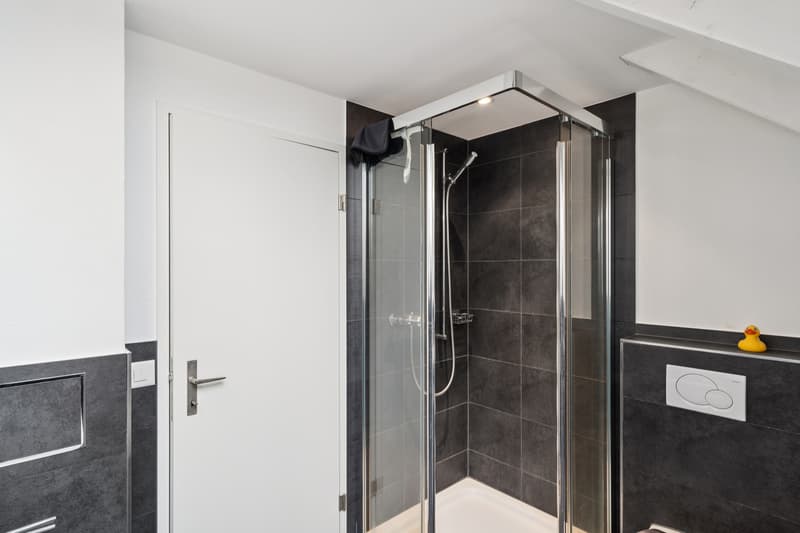 Nuovo Prezzo: Appartamento Maisonette Esclusivo con Arredamento Stiloso (8)