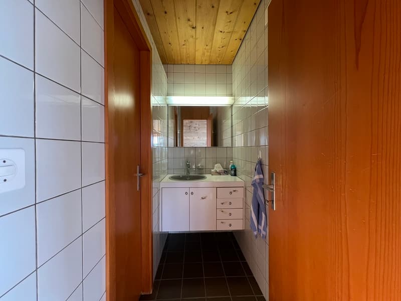 5 Zimmer Einfamilienhaus mit Weitblick über Sissach (3)