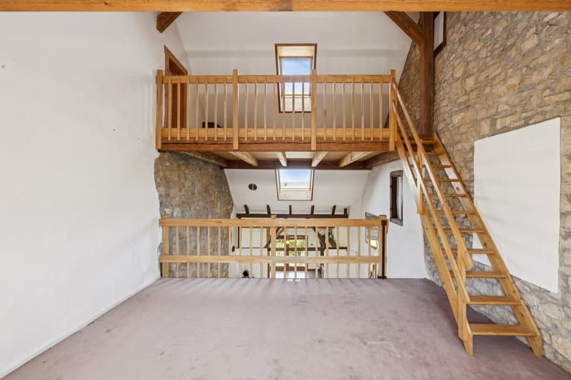 Maison à plusieurs générations avec charme historique à Pratteln (8)