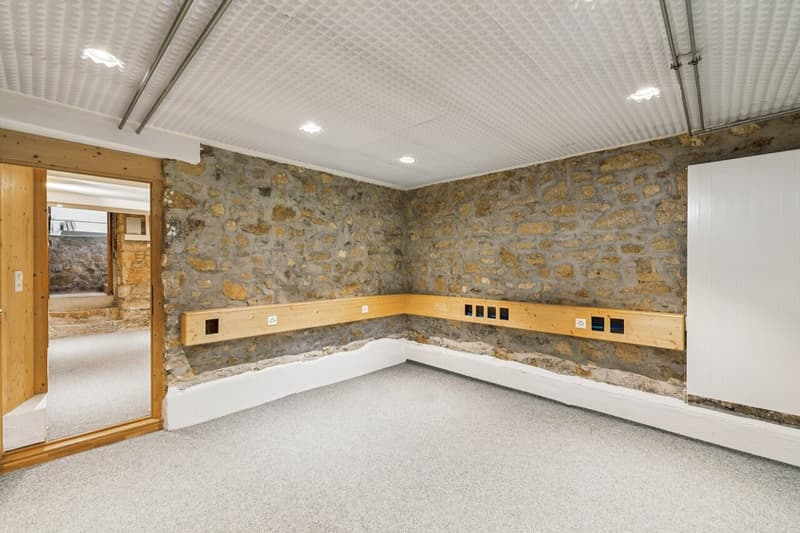 Maison à plusieurs générations avec charme historique à Pratteln (3)