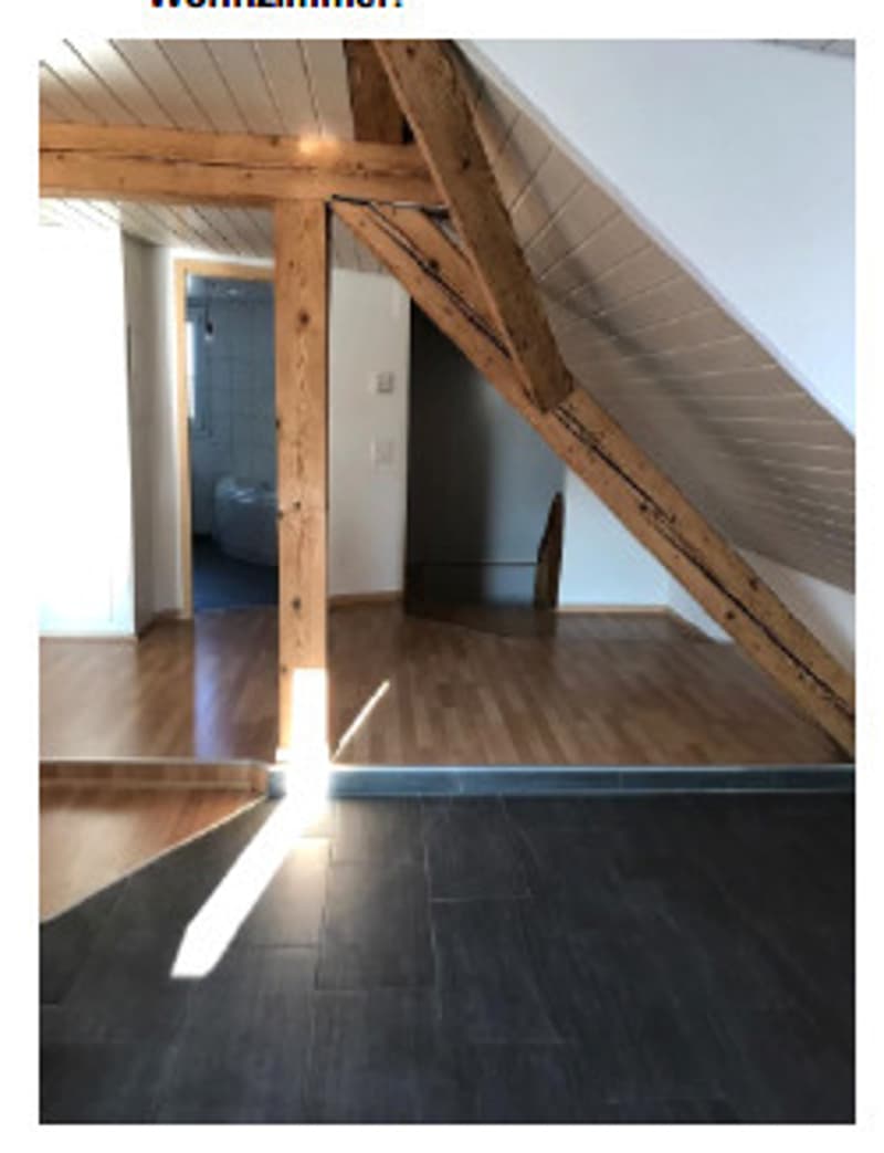 Attraktives Mehrfamilienhaus an zentraler Lage in Wahlen b. Laufen (8)