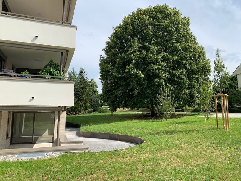 Lindengarten - zeitgemässes Wohnen in einer grünen Oase (4)