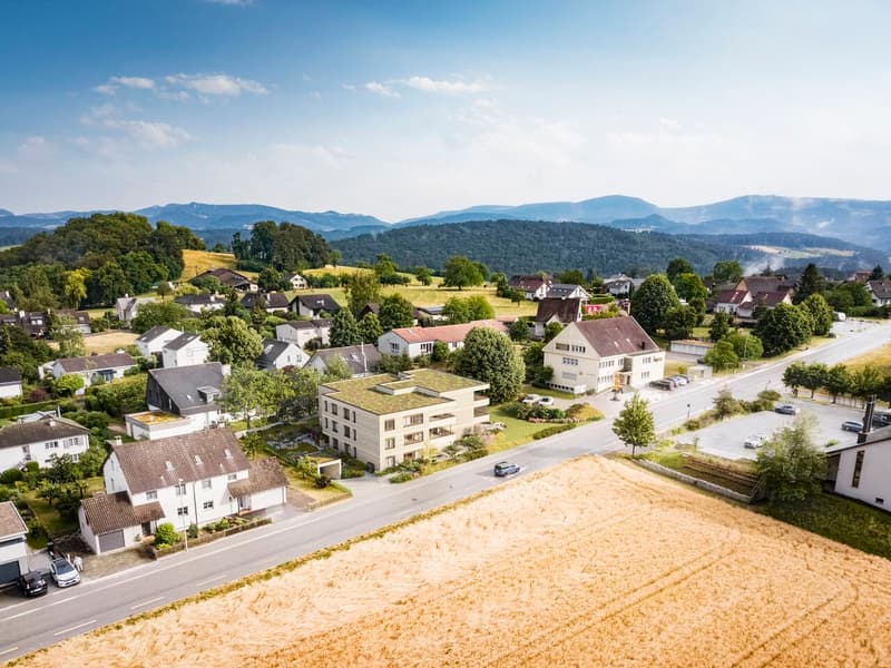 Lindengarten - zeitgemässes Wohnen in einer grünen Oase (3)