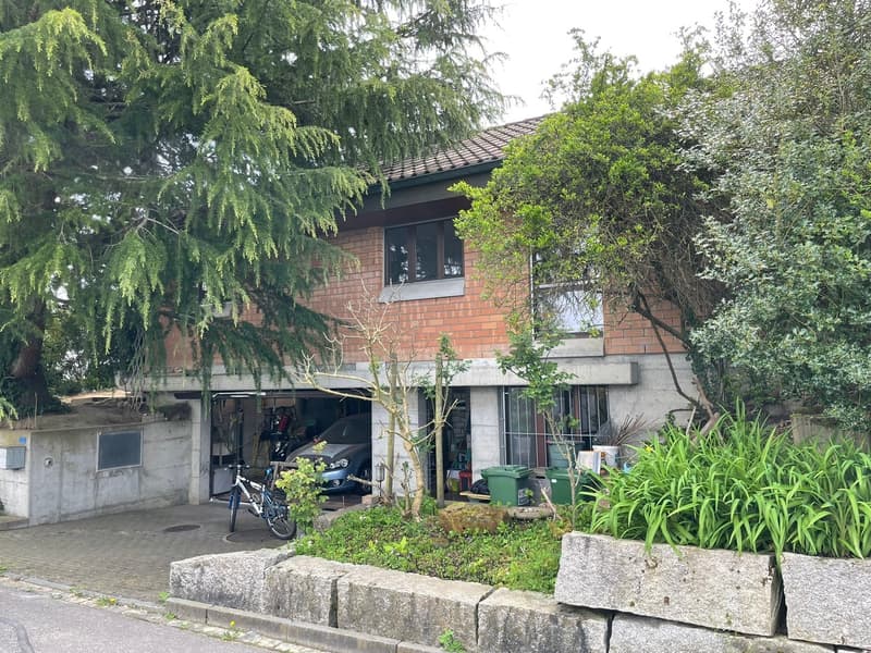 Stilvoller 5.5 Zimmer-Bungalow mit charmantem Garten und Garage (2)