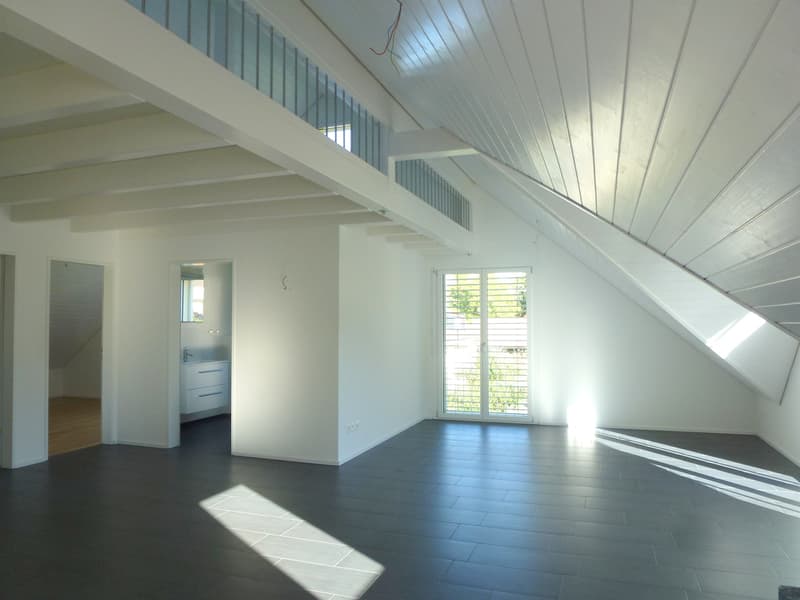 Freistehendes Mehrfamilienhaus an sonniger Lage mit Autoeinstellhalle (9)