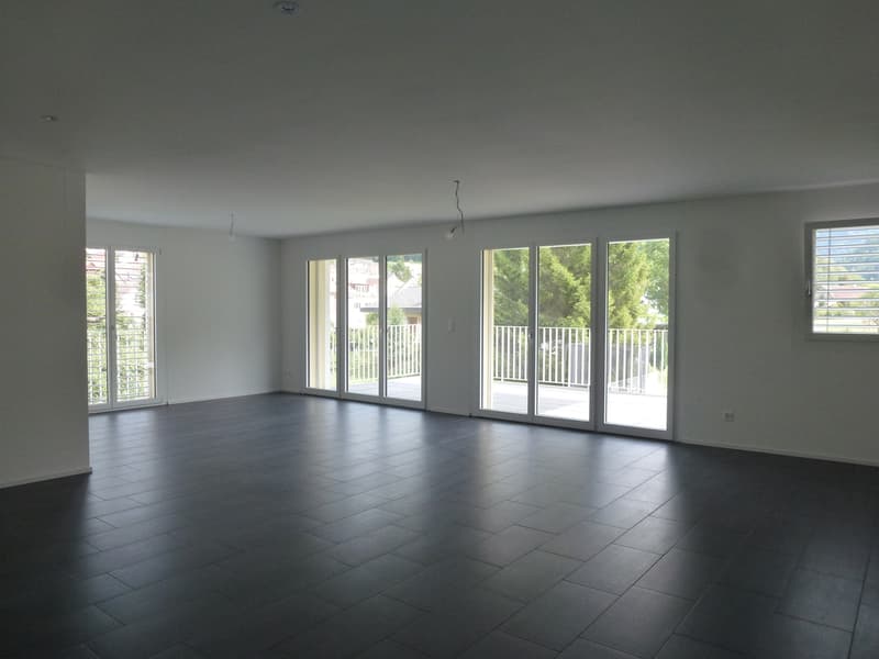 Freistehendes Mehrfamilienhaus an sonniger Lage mit Autoeinstellhalle (2)