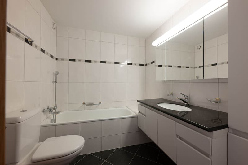 3.5 Zimmer-Wohnung mit Hobbyräumen beim Kannenfeldpark in Basel (5)