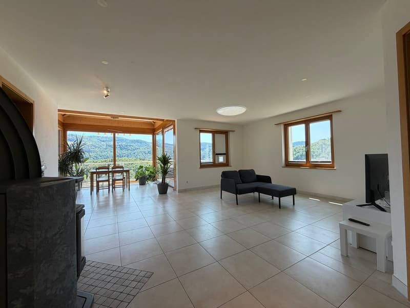 7.5 Zimmer-EFH mit traumhafter Aussicht und schönem Garten (3)