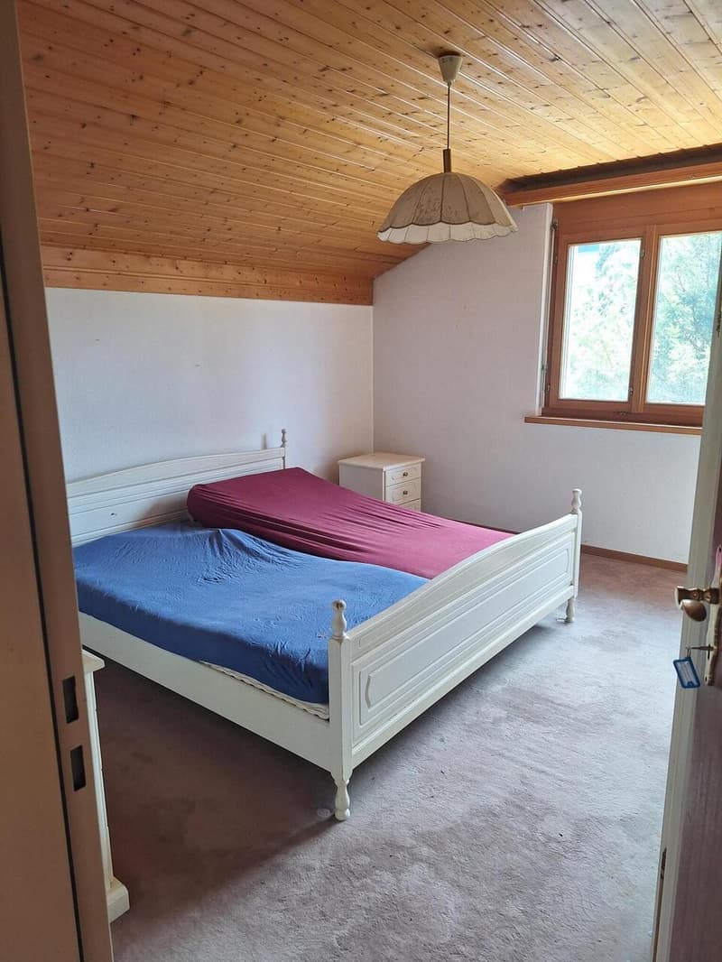 Freistehendes Einfamilienhaus mit angebautem Carport / Geräteschuppen (7)