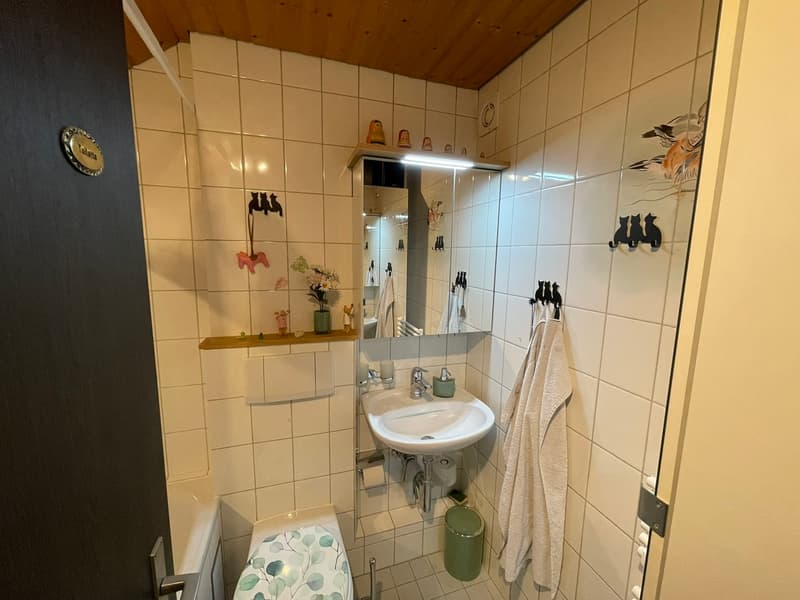 Bezaubernde Maisonette-Dachwohnung in Binningen (6)