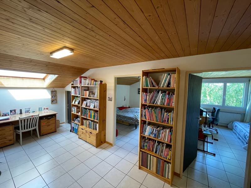 Bezaubernde Maisonette-Dachwohnung in Binningen (9)