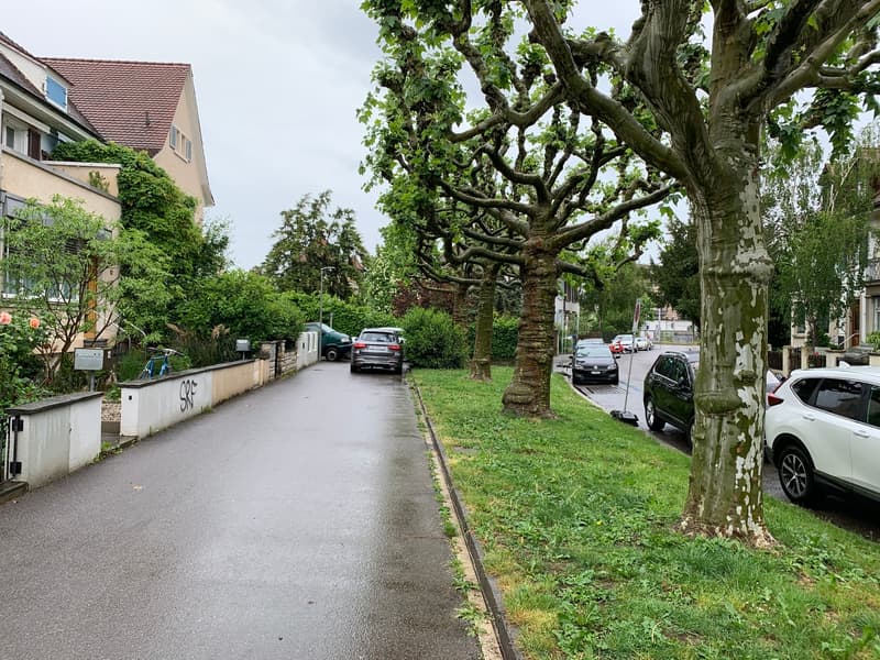 Reihen-EFH mit Garten und separater Gargenparzelle im Bieterverfahren (10)