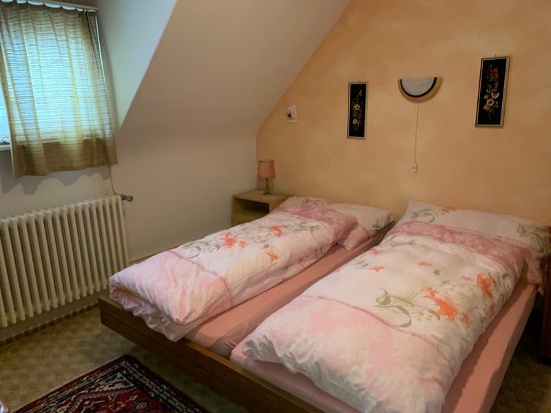 Reihen-EFH mit Garten und separater Gargenparzelle im Bieterverfahren (8)