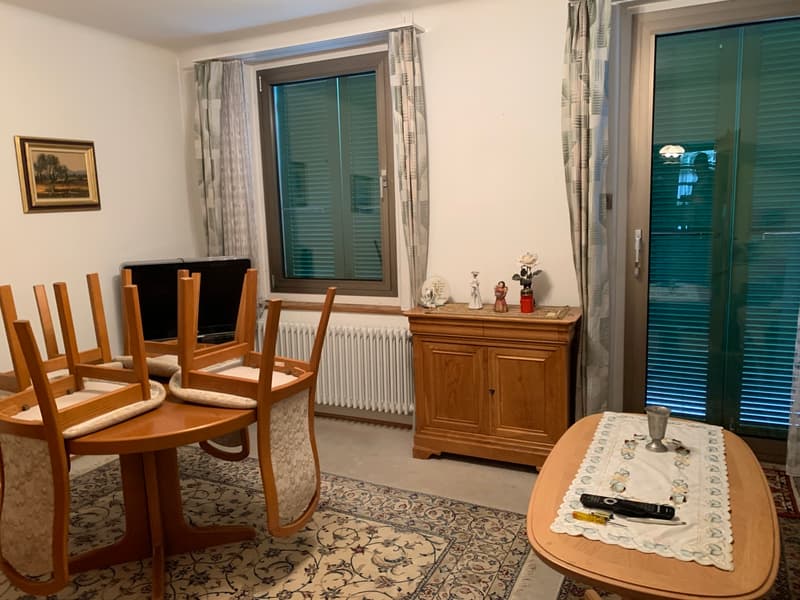 Reihen-EFH mit Garten und separater Gargenparzelle im Bieterverfahren (6)