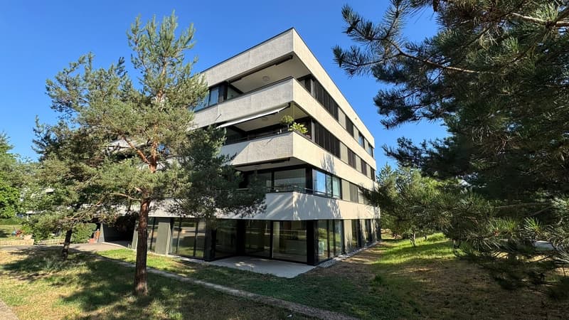 Willkommen in dieser modernen und grosszügigen 4.5-Zimmer-Wohnung (9)