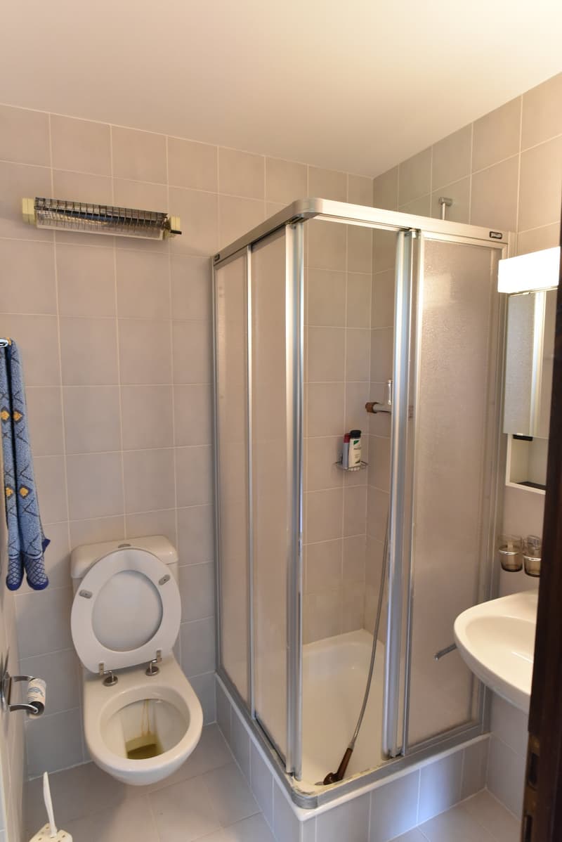 Bathroom with a toilet, a shower enclosure, a sink, and a towel rack.