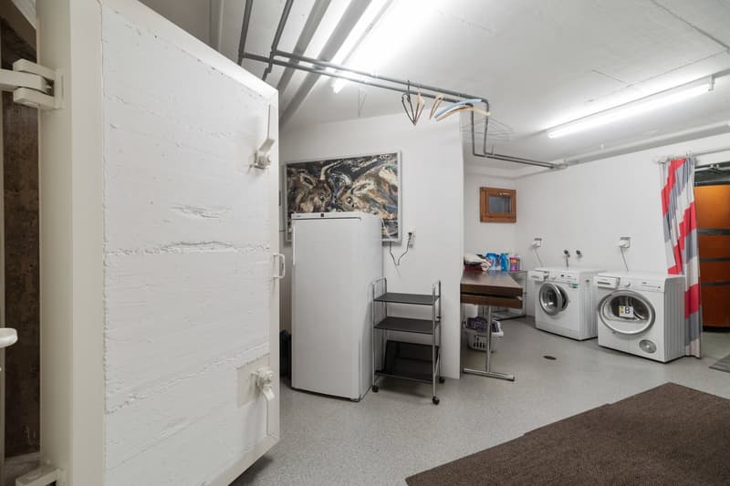 The image shows a laundry room with a refrigerator, washing machine, and dryer. There is also a shelving unit and a framed artwork on the wall.