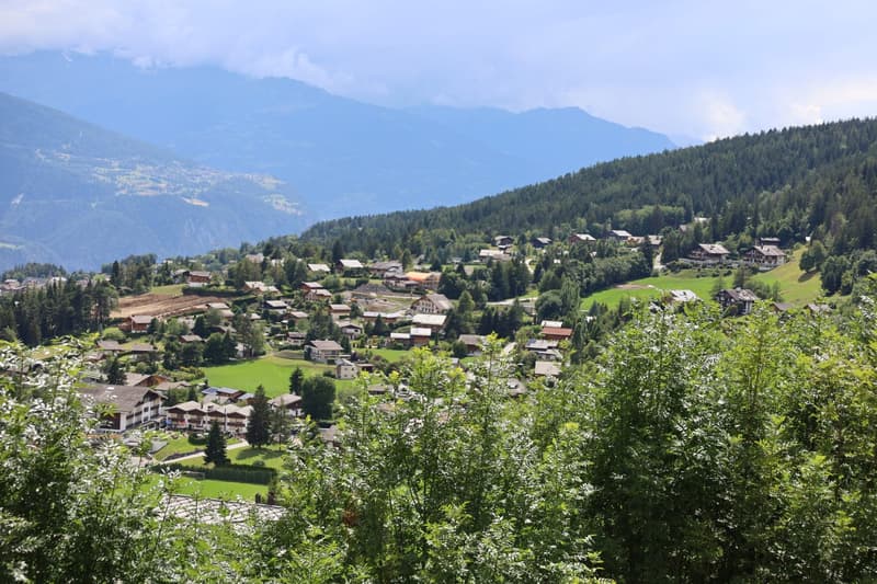 Scenic mountain village nestled in a lush, forested valley with rolling green hills and distant snow-capped peaks. The village consists of traditional alpine-style buildings and homes surrounded by dense pine forests. The landscape is picturesque and sere